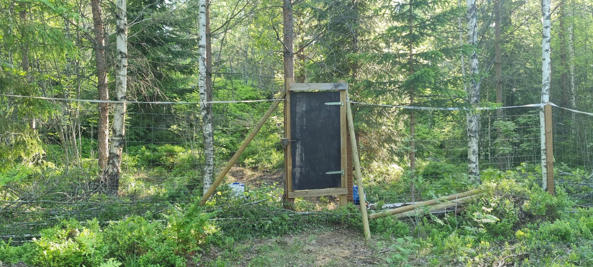 Aidattu portti koirametsän sisäänkäynnillä